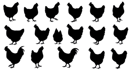 Chicken Silhouette Collection