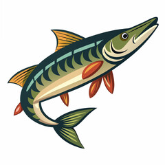 fish on a white background