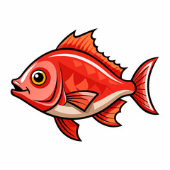 fish on a white background