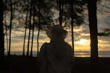 Fototapeta premium A woman walks alone on a tropical beach filled with tall pine trees
