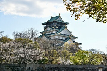春の桜の大阪城