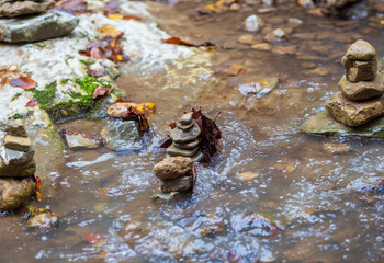 a small stream and its rocky bottom, slow flowing water