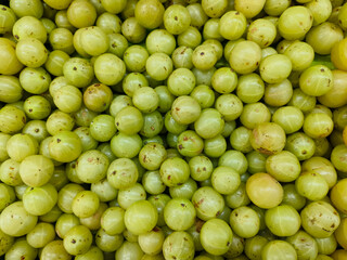 Phyllanthus emblica, also known as emblic, emblic myrobalan, nellikai, Indian gooseberry, Malacca tree, amloki or green amla, is a deciduous tree of Phyllanthaceae family. most medicinal herbal fruit.