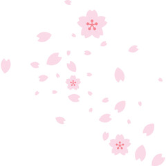 Cherry Blossom Petals