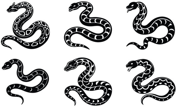 African rock python animal silhouette vector art set design