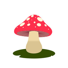 High-Quality Red Mushroom Illustration in PNG Format