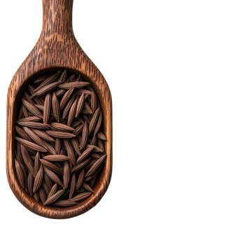 A wooden spoon filled with aromatic black cumin seeds isolated against a transparent background.