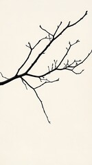 Subtle Minimalist Branch Design in Natural Style