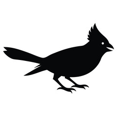Black Bird Cardinal Silhouette Isolated On White Background Design Element.