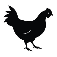 Black Chicken Silhouette Vector Illustration Isolated On White Background Simple Farm Animal.