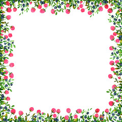 Set of square frames made of watercolor clover flowers and blueberries. Clip art, design element.