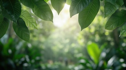 green forest with sunlight filtering through leaves perfect for world environment day themes featuring blurred silhouettes