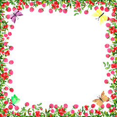 Set of square frames of watercolor flowers of clover and lingonberry, butterflies, bumblebees, dragonflies. Clip art, design element.