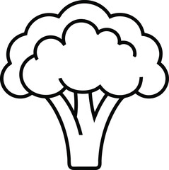 Broccoli Black and White Outline transparent background