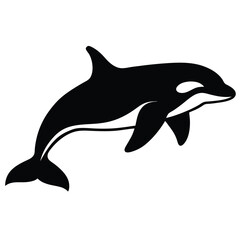 Obraz premium Silhouette Of Orca Whale Swimming Gracefully Black And White Illustration Design.