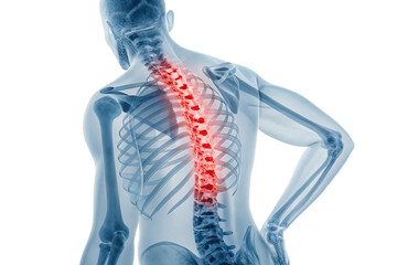 Transparent human figure reveals glowing red spine, indicating pain, inflammation, or spinal medical issue, isolated on a transparent background