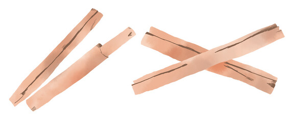 シナモンスティックの水彩風イラスト