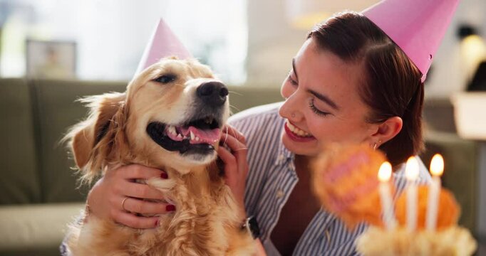 Birthday, cake or cuddle with dog and woman in living room of home together for celebration. Love, party and smile of pet owner with labrador in apartment for bonding, friendship or milestone