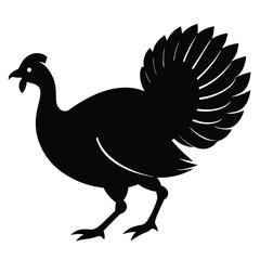Turkey Bird Silhouette Vector Illustration For Thanksgiving And Farm Animal Designs.