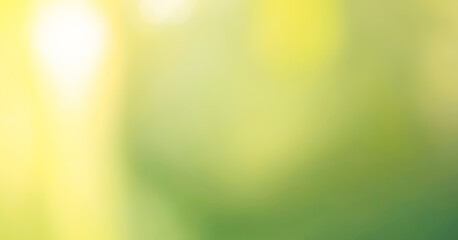 Gentle focus on leafy green tones. Premium background photo with soft bokeh, Background for banner, poster and website design.