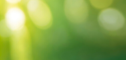 Obraz premium Calm green blur with soft lighting. Premium background photo with soft bokeh, Background for banner, poster and website design.