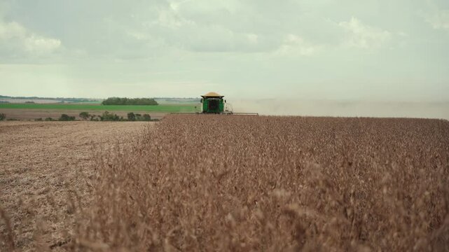 View of the horizon with a harvester threshing soybeans in the farmer's field, set against a beautiful sunset.