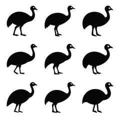 Obraz premium Nine Black Silhouette Images of Southern Cassowaries