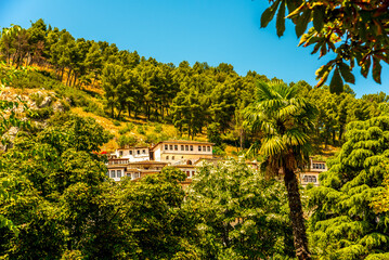 Berat’s historic Ottoman architecture nestled within the trees cascades down sun-drenched slopes,...