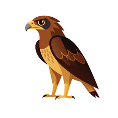 hawk bird isolated on white .eps