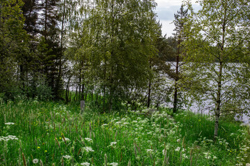 Obraz premium A field of grass with a body of water in the background