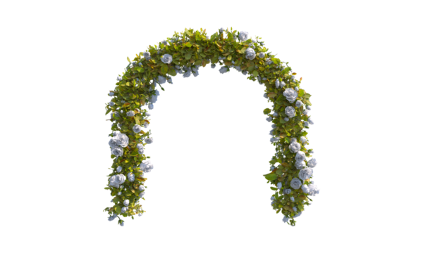 Green arch of white roses and green leaves png alpha channel