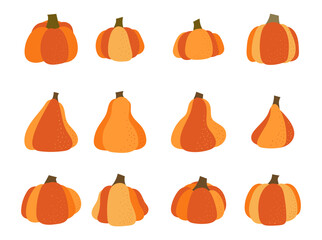 Set of Hand Drawn Doodle Pumpkin Icon Clip Art. Pumpkin Pie, Autumn, Patch, Seeds, Halloween, and Fall. Pumpkin Outline and Background in Vector