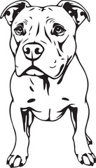Staffordshire Bull Terrier. Hand drawn vector illustration	