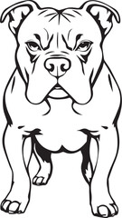 Staffordshire Bull Terrier. Hand drawn vector illustration	