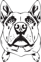 Staffordshire Bull Terrier. Hand drawn vector illustration	