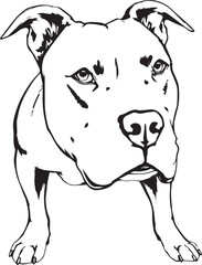 Staffordshire Bull Terrier. Hand drawn vector illustration	