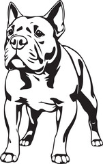 Staffordshire Bull Terrier. Hand drawn vector illustration	