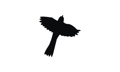 African pied wagtail bird Silhouette Design  And Vector Illustration. 
