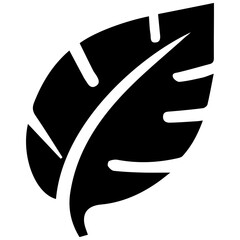 Summer leaf illustration for beautiful design ideas