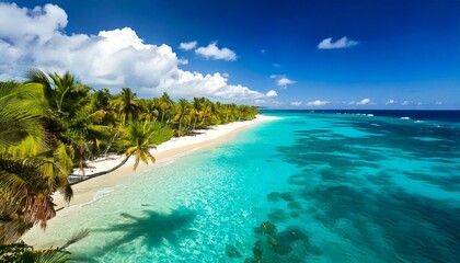 Naklejka premium Beautiful tropical beach with palm trees, sunset beach seascape, design template for travel banner.