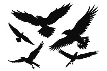 Obraz premium Eagles Flying Silhouette Collection on Transparent Background
