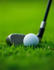 Golf club and a ball in green grass