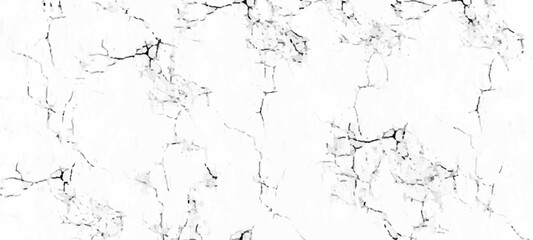 Vector marble pattern with white and black cracks Transparent texture.lines, dry cracked earth overlay texture, grunge distressed.