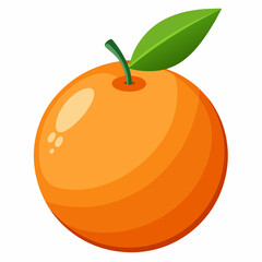 vector illustration of an orange