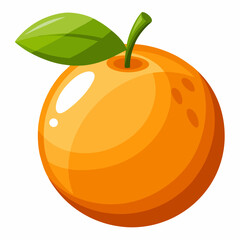 vector illustration of orange fruit