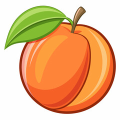 vector illustration of an orange