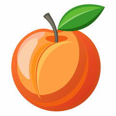 vector illustration of an orange fruit