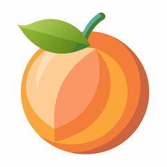 vector illustration of orange fruit