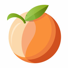 vector illustration of an orange