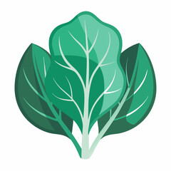 vector green leaf